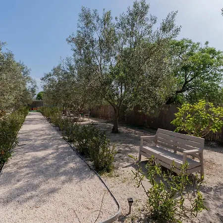 Beka House מלון *