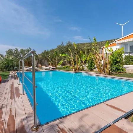 Beka House אלאקאטי